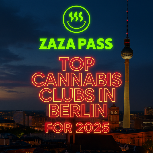 Berlin’s Best Cannabis Lounges: Where to Relax High in Style