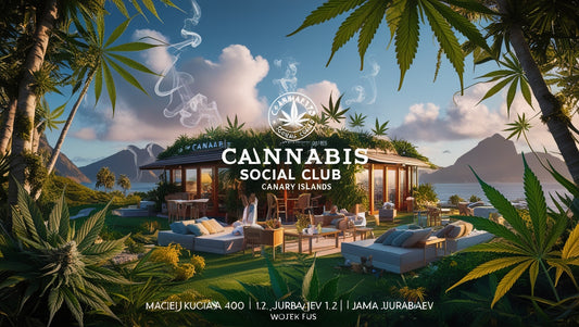 The Best Cannabis Social Clubs in Tenerife