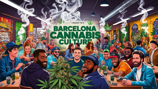 How to Get Weed in Barcelona