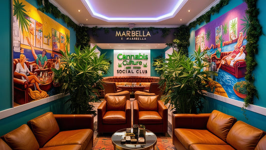 How to Get Weed in Malaga & Marbella