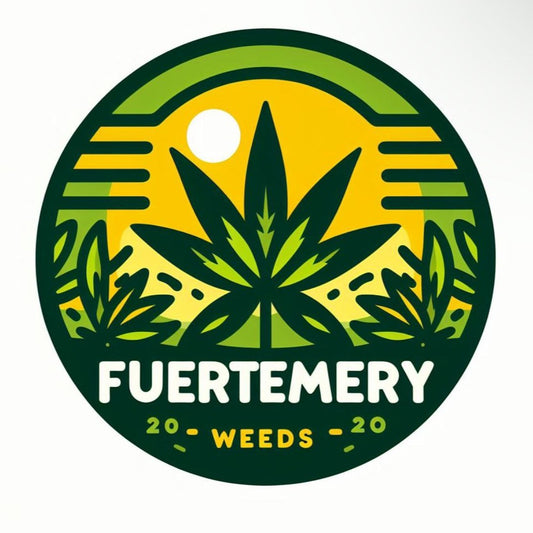 FuerteMery