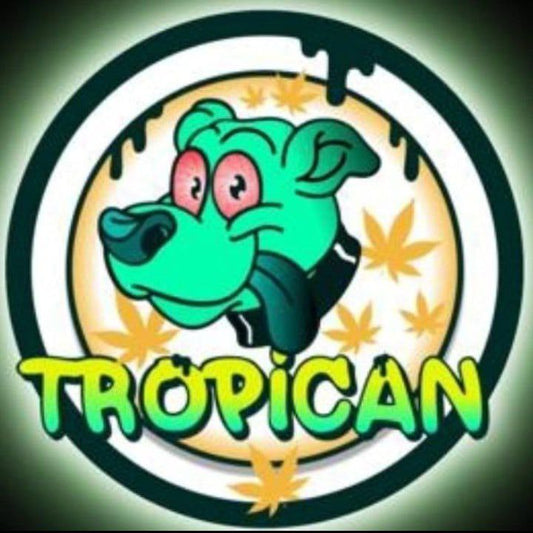 Tropican Corralejo